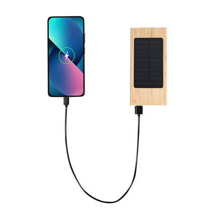 Powerbank (25er Pack)