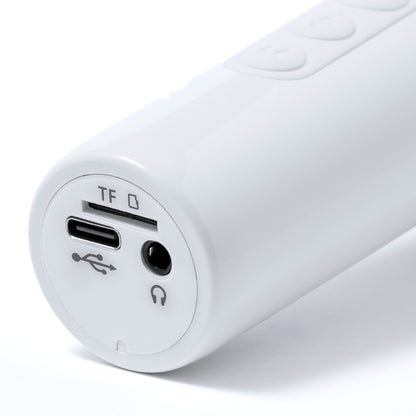 Altavoz Micrófono (lote de 25)