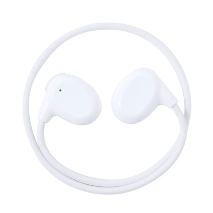 Auriculares (lote de 25)