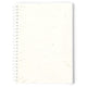 Notizbuch "Samen" (25er-Pack)