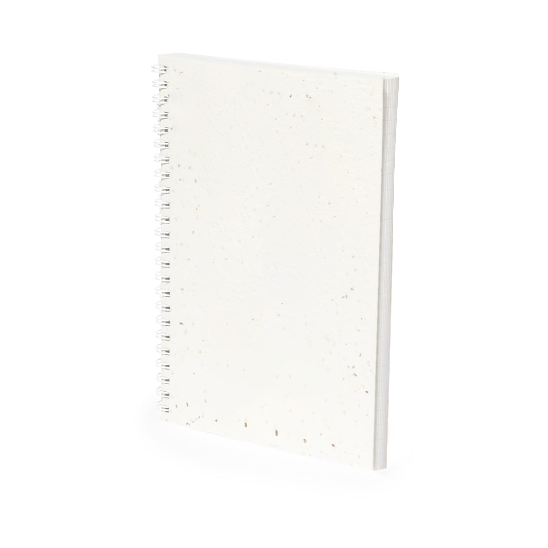 Notizbuch "Samen" (25er-Pack)