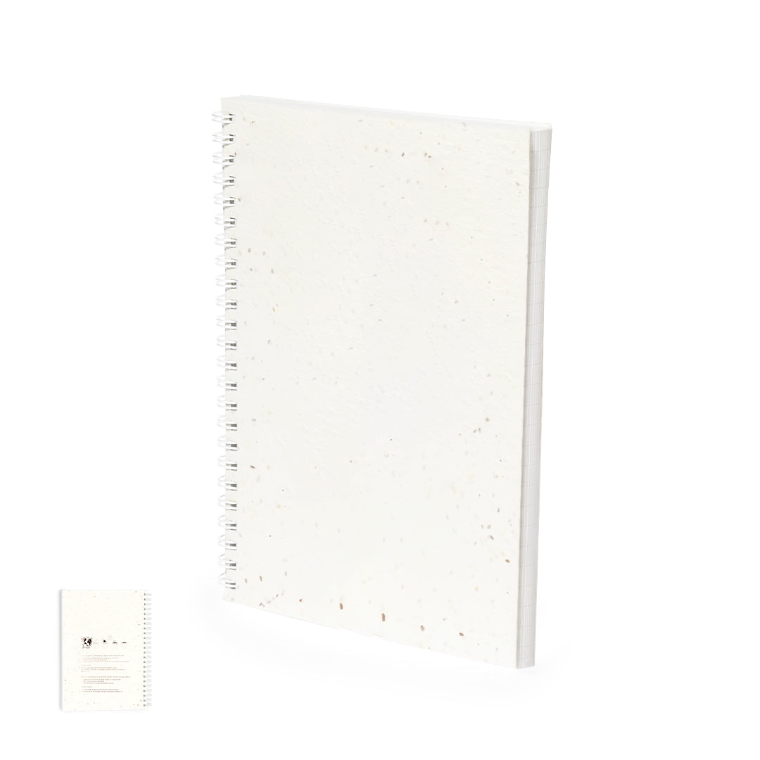 Notizbuch "Samen" (25er-Pack)