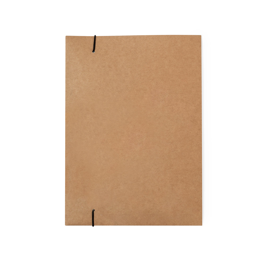 Carpeta Semillas (lote de 50)