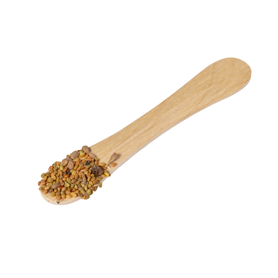 Stick Semillas (lote de 50)