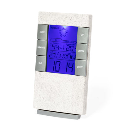 Wetterstation (25er-Pack)