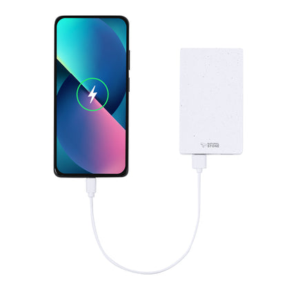 Powerbank (25er Pack)
