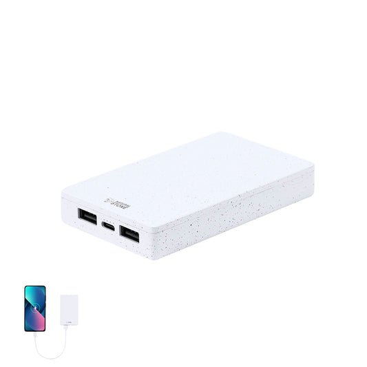 Power Bank (lote de 25)