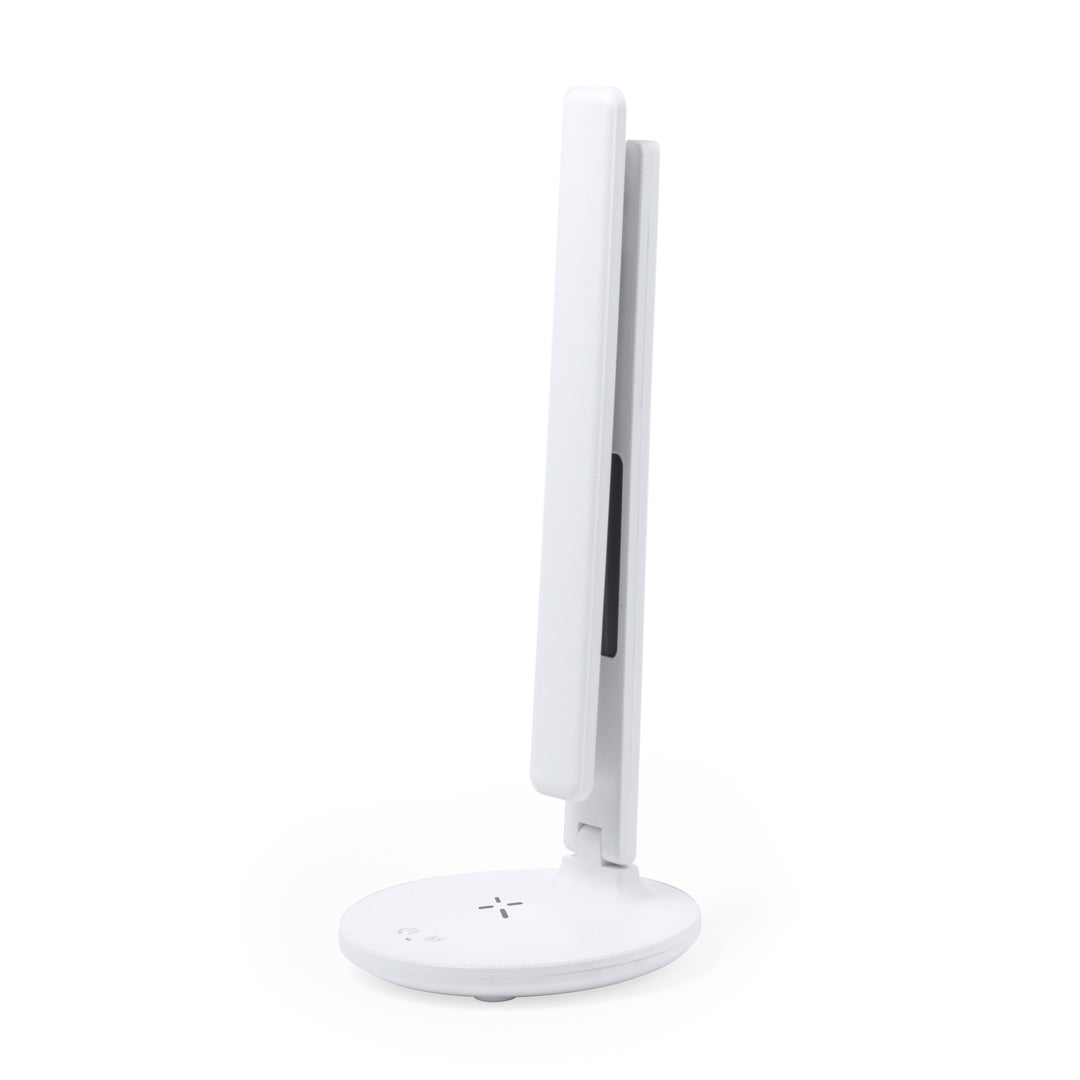 Lampe multifonction (lot de 20)
