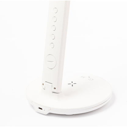 Lampe multifonction (lot de 20)