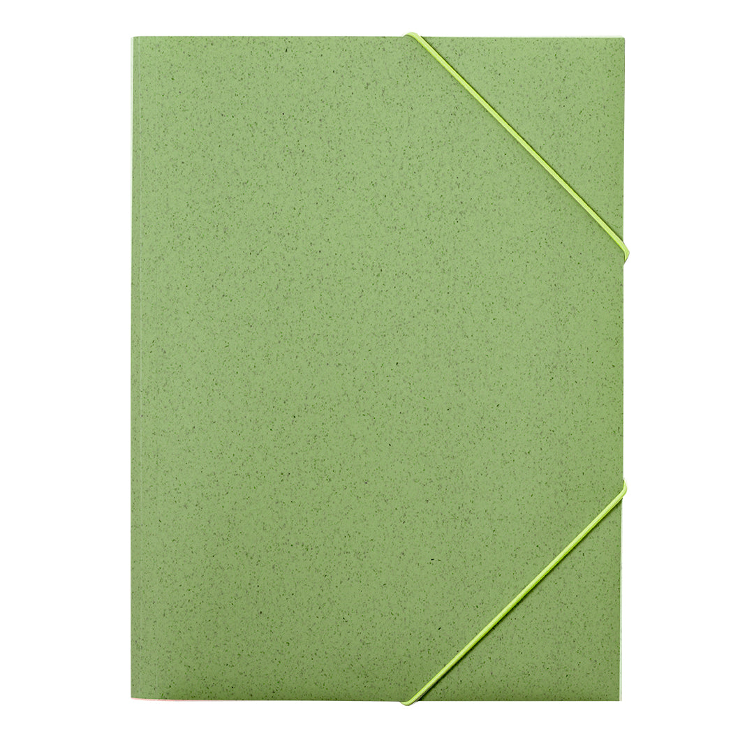 Carpeta (lote de 100)