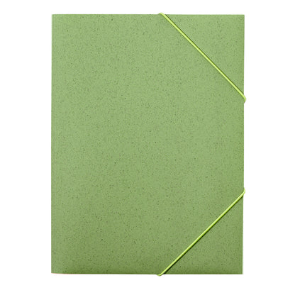Carpeta (lote de 100)