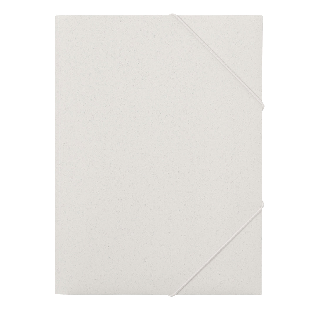 Carpeta (lote de 100)