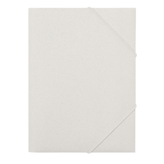Carpeta (lote de 100)