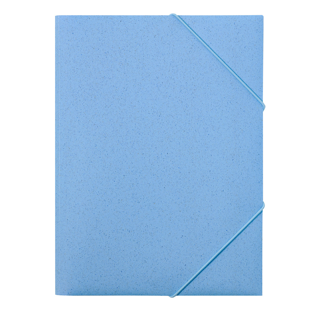 Carpeta (lote de 100)