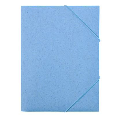 Carpeta (lote de 100)