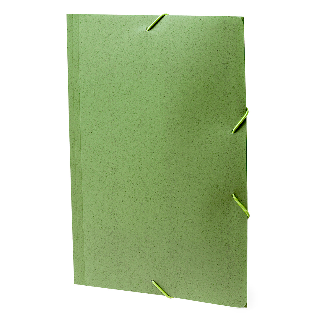 Carpeta (lote de 100)