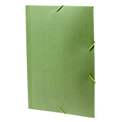 Carpeta (lote de 100)