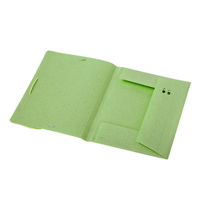 Carpeta (lote de 100)