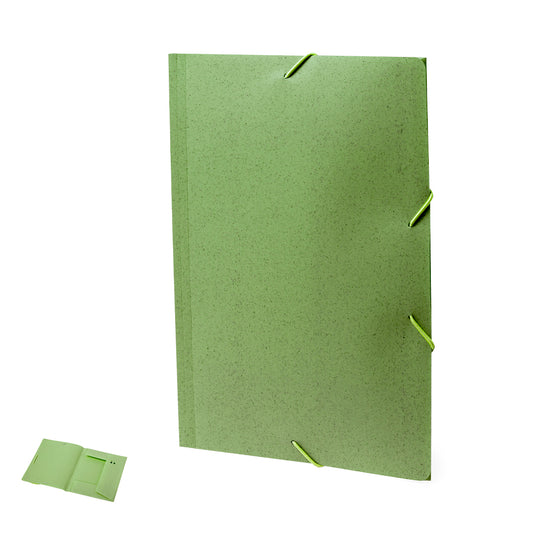 Carpeta (lote de 100)
