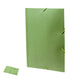 Carpeta (lote de 100)