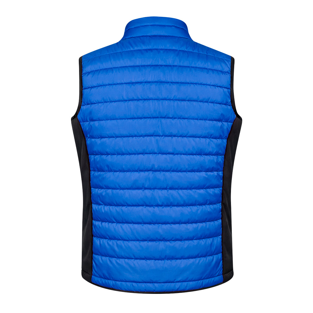 Chaleco (lote de 15)