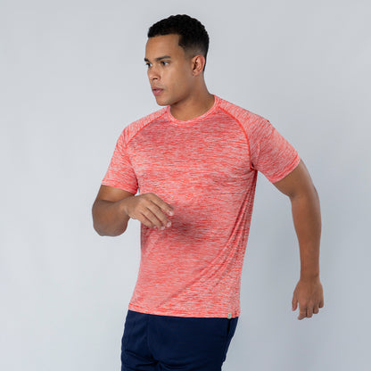 Camiseta Adulto (lote de 80)