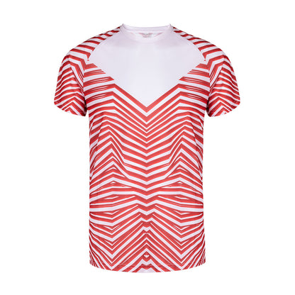 Camiseta Adulto (lote de 80)