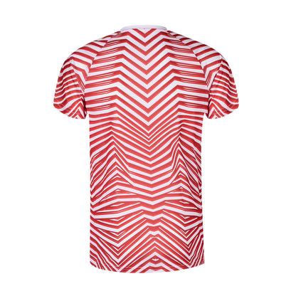 Camiseta Adulto (lote de 80)