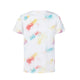 Camiseta Adulto (lote de 80)