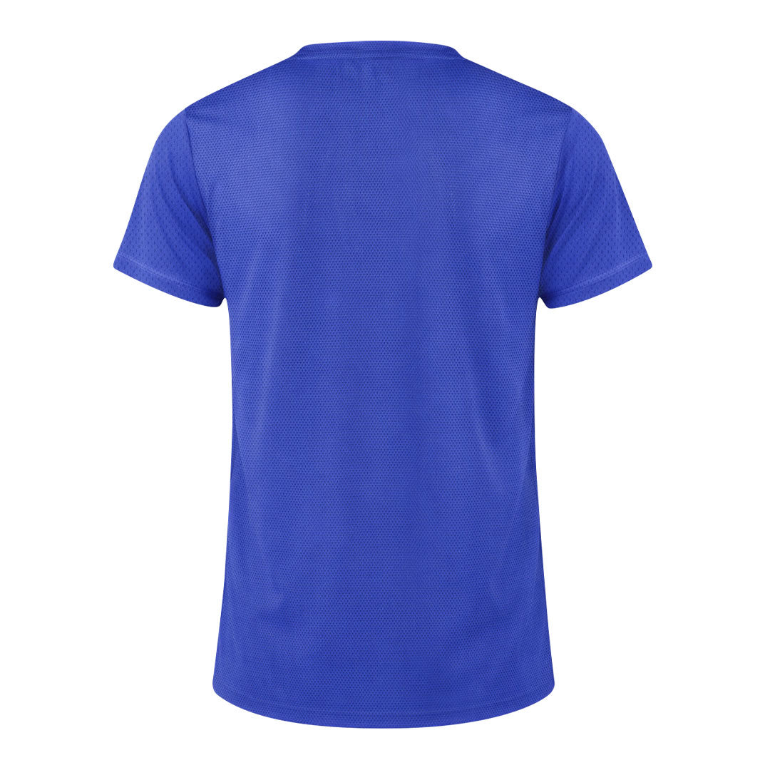 Camiseta Adulto (lote de 80)