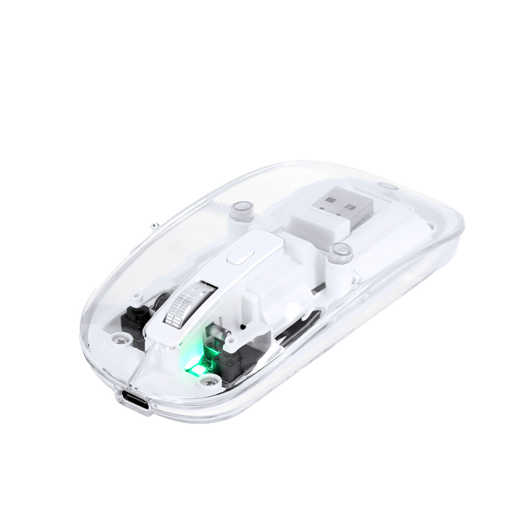 Ratón (lote de 25)
