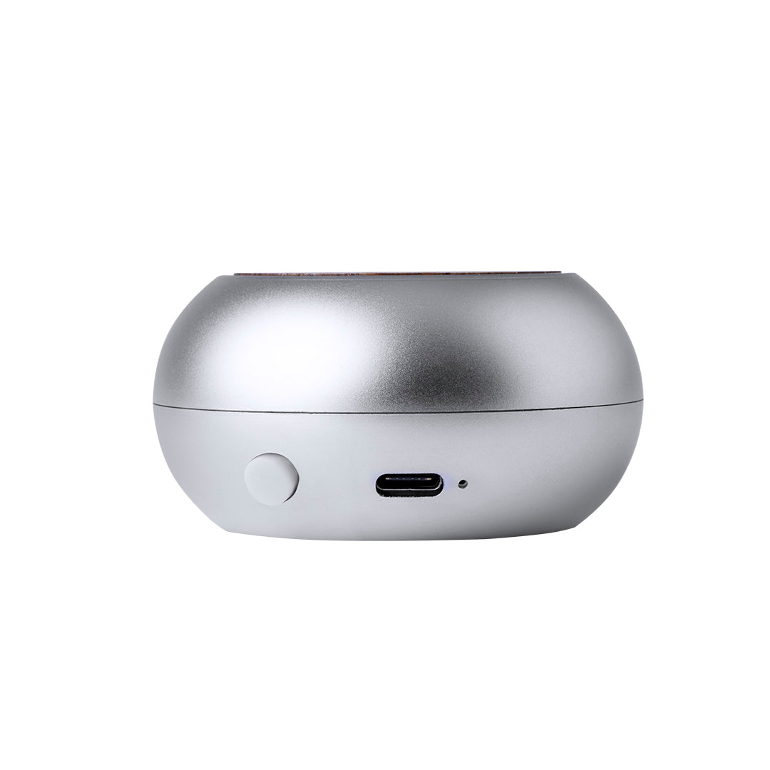 Altavoz (lote de 25)