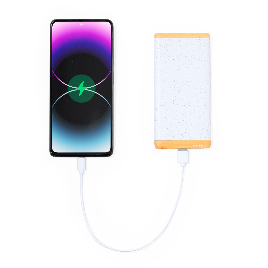 Power Bank (lote de 25)