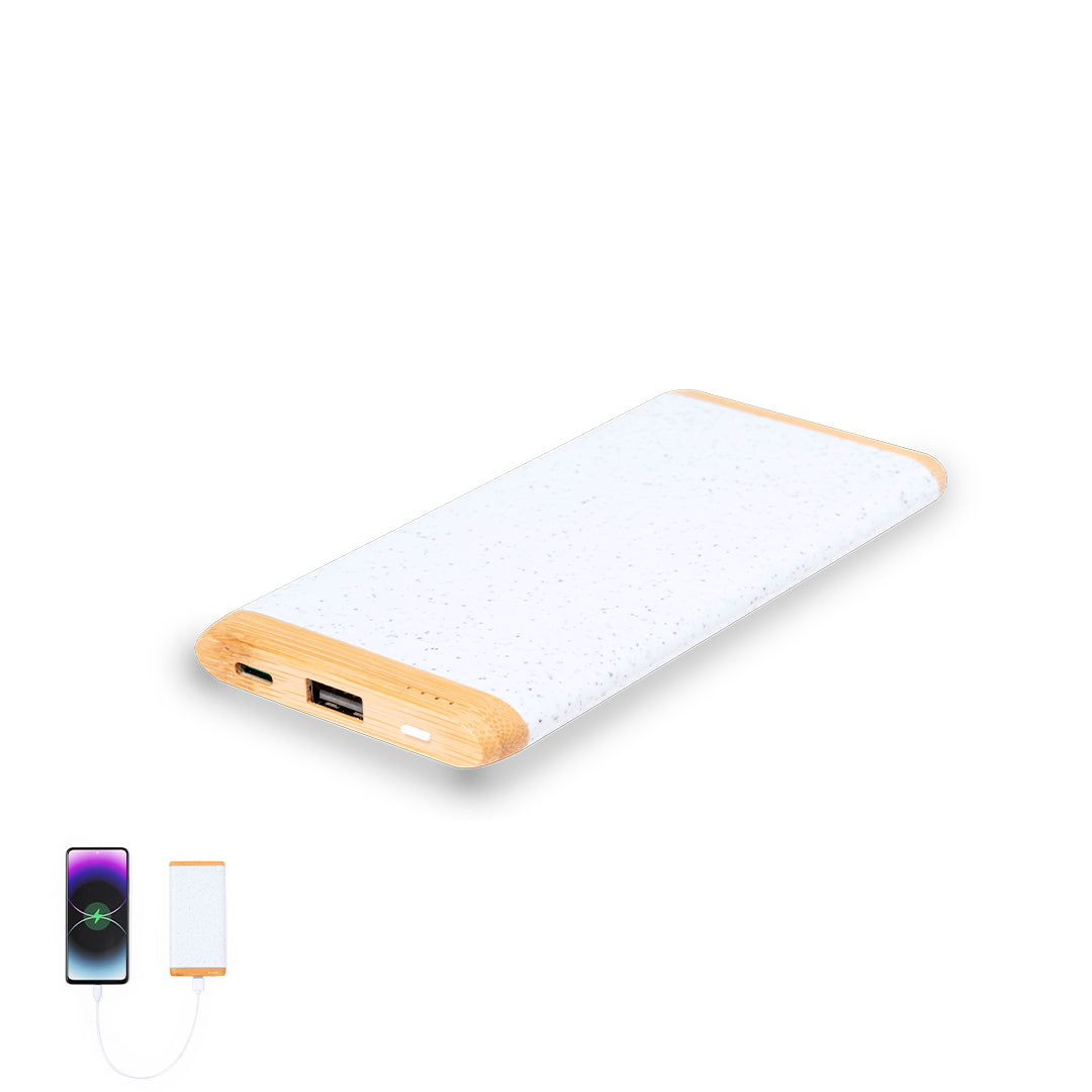 Power Bank (lote de 25)