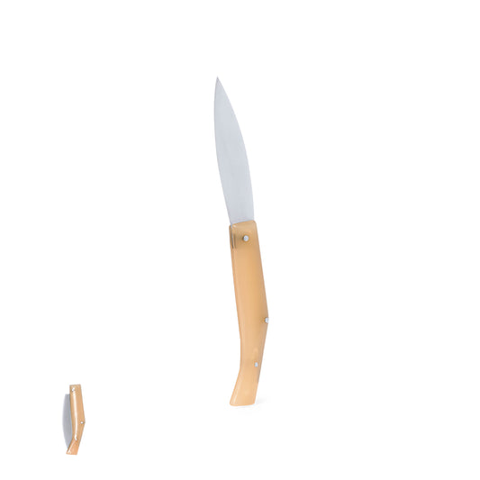 Taschenmesser (12er-Pack)