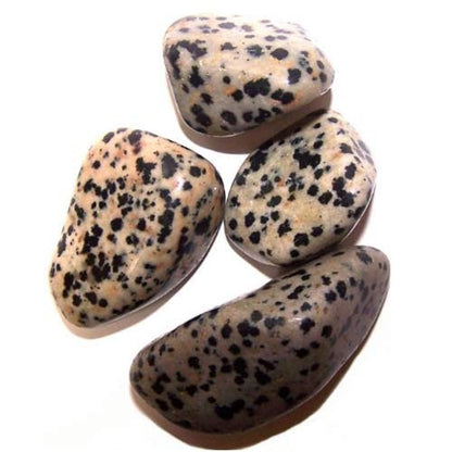 24 x L Tumble Stones - Dalmata
