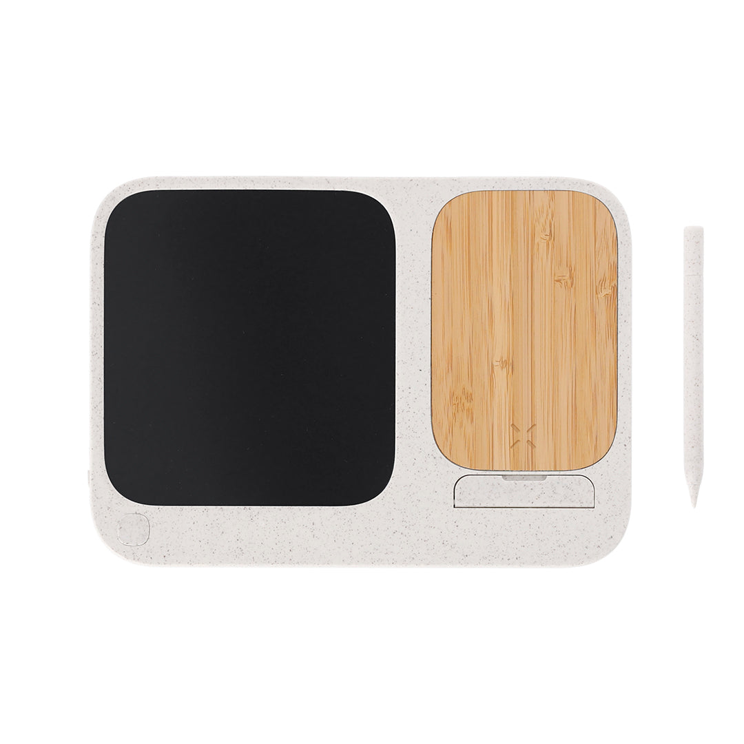 Cargador Tablet Escritura LCD (lote de 40)