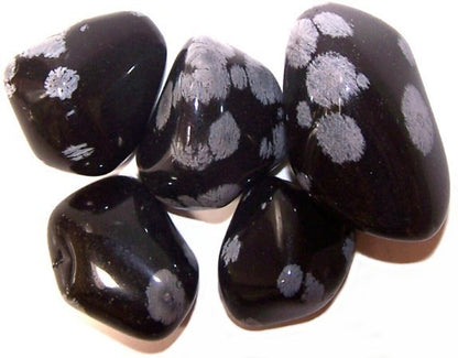 24 x L Tumble Stones - Obsidiana Copo de Nieve