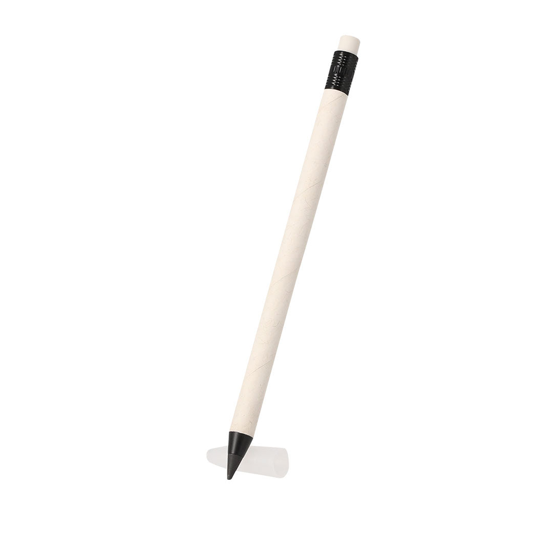 Crayon éternel (lot de 50)