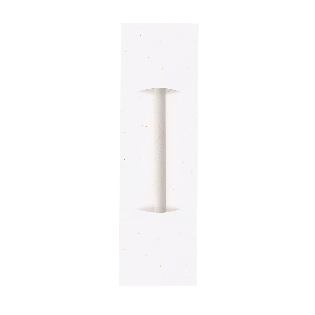 Crayon éternel (lot de 50)