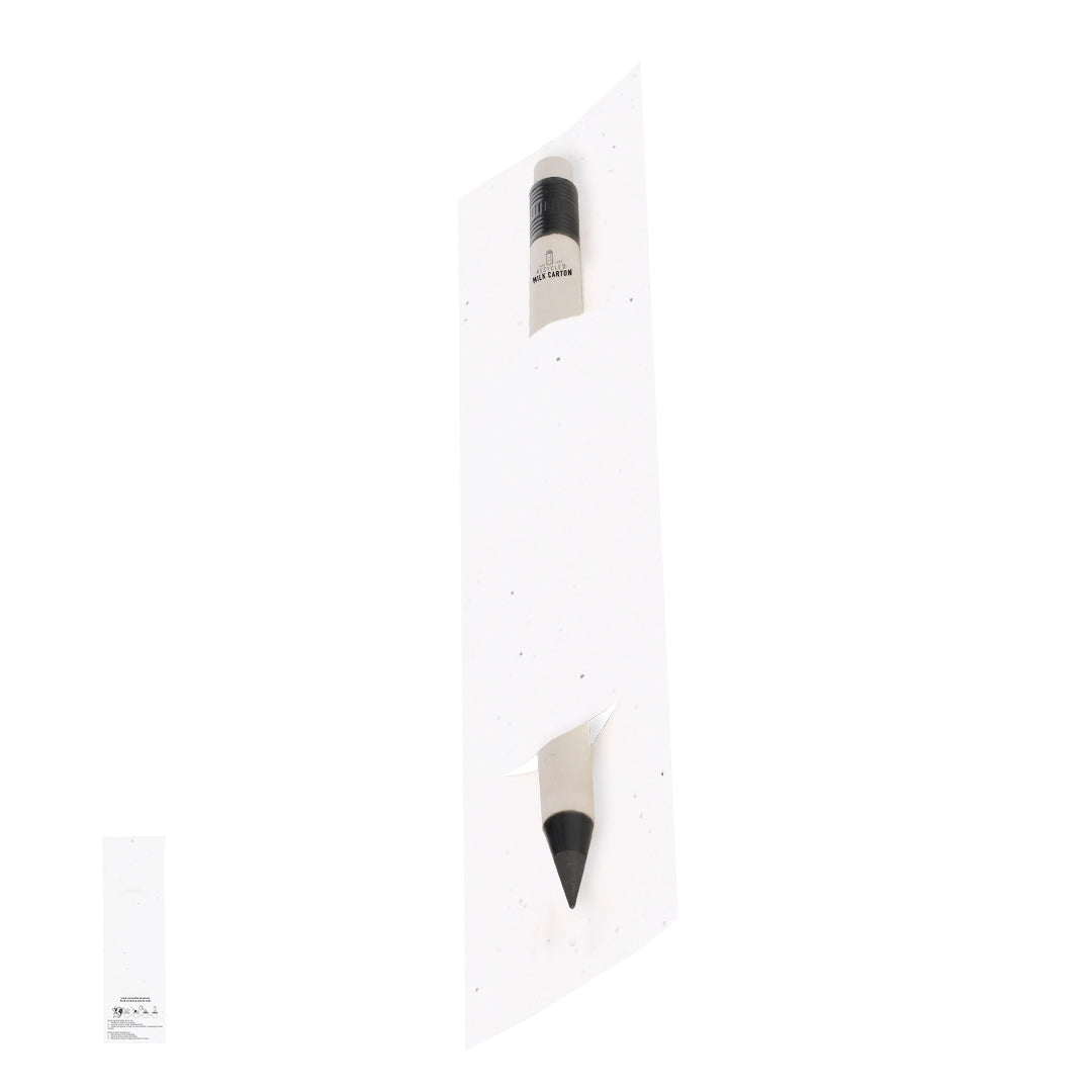 Crayon éternel (lot de 50)