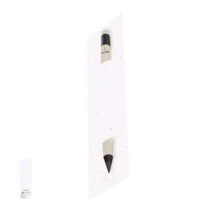 Crayon éternel (lot de 50)