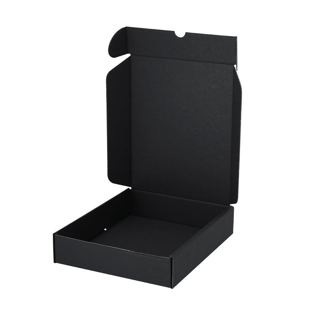 Boîte de présentation (lot de 50)