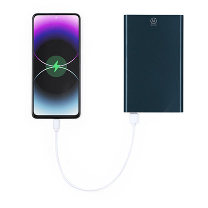 Powerbank (25er Pack)