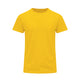 T-Shirt für Erwachsene Farbe (100 Stück)