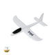 Avioneta (lote de 100)
