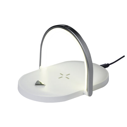 Lampe multifonction (lot de 25)