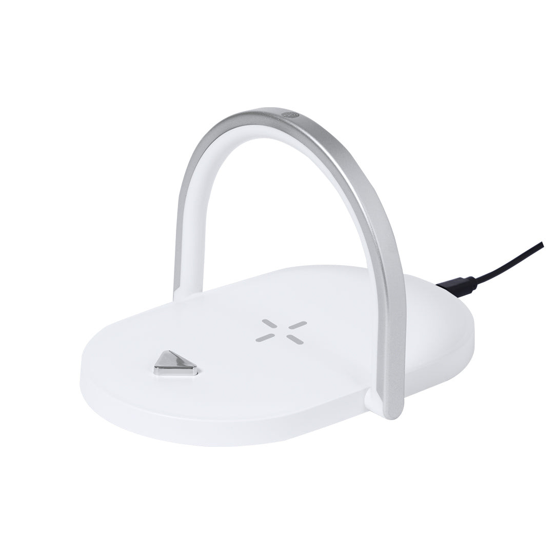 Lampe multifonction (lot de 25)