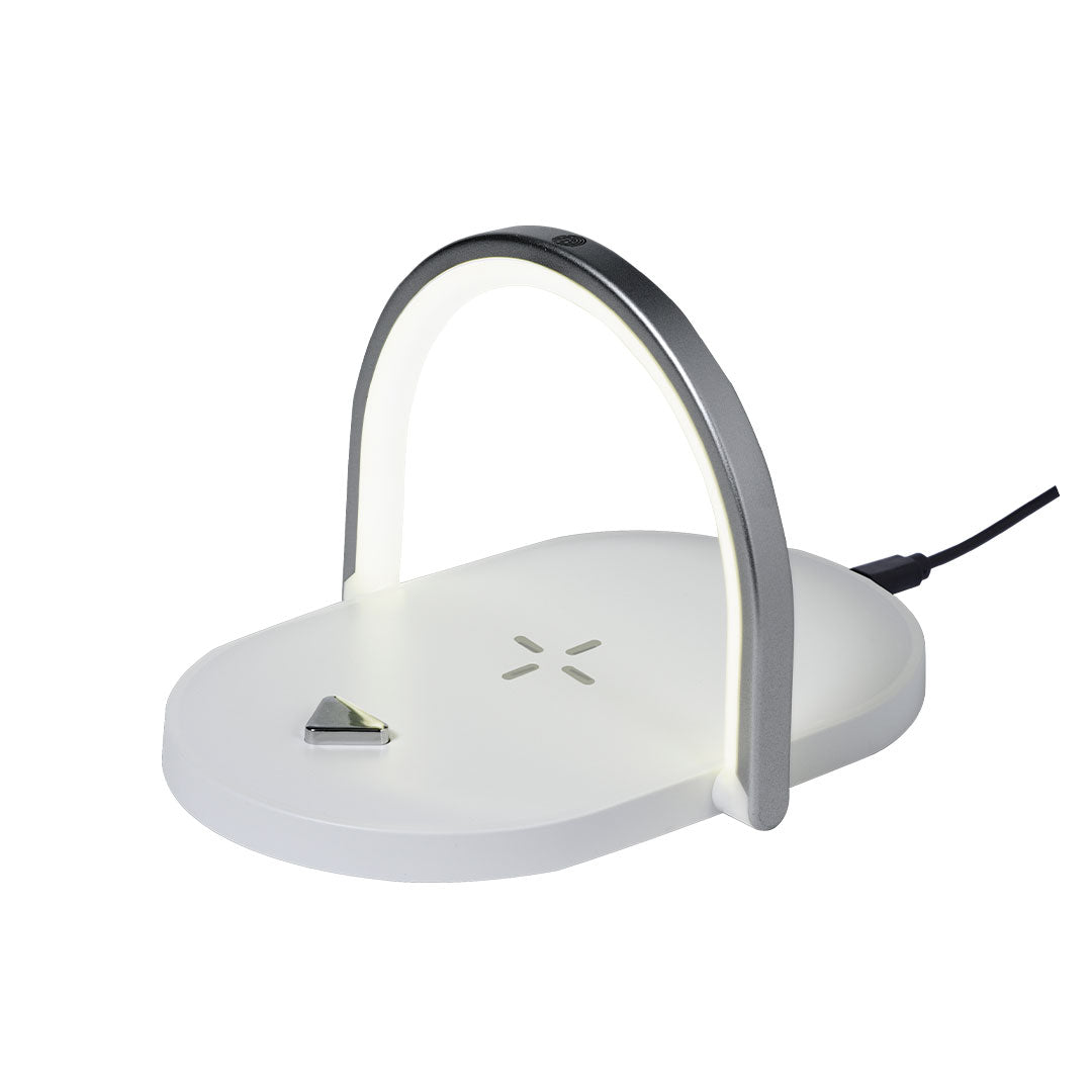 Lampe multifonction (lot de 25)