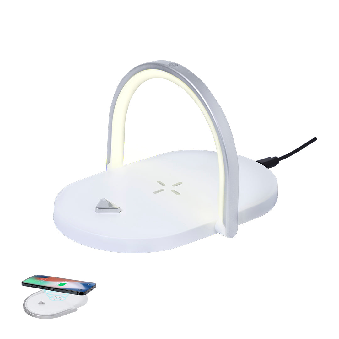 Lampe multifonction (lot de 25)